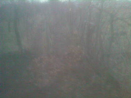 SP_A0840 - iarna in gradina