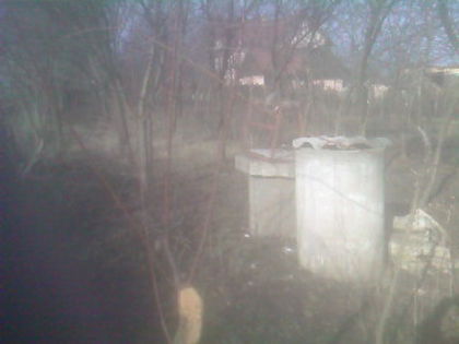 SP_A0841 - iarna in gradina