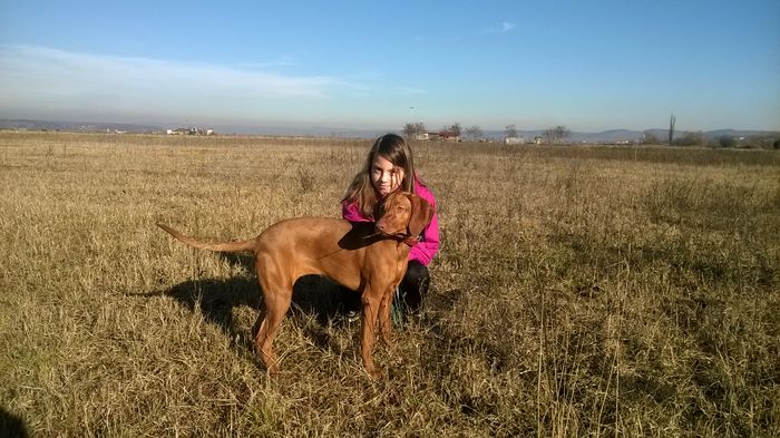 WP_20141213_007 - VIZSLA