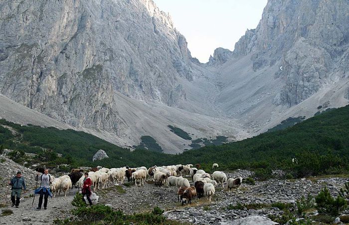 Oi si munti inalti de tot, frumos peisaj