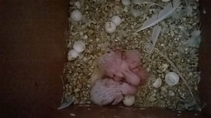 WP_20150125_11_16_26_Pro