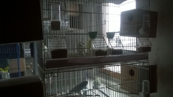 WP_20150125_11_17_03_Pro