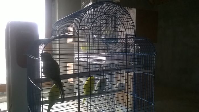 WP_20150125_11_17_30_Pro