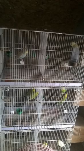 WP_20150125_11_17_53_Pro