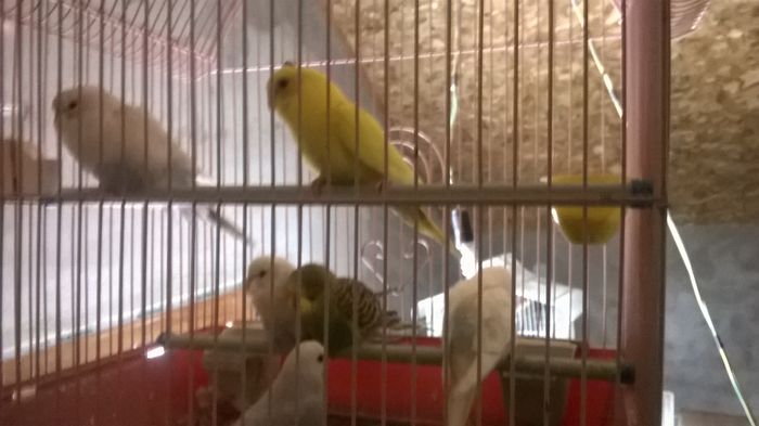 WP_20150125_11_18_22_Pro