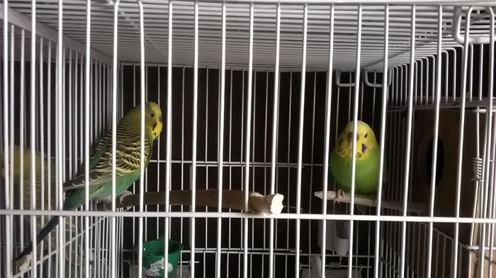 WP_20150125_11_19_34_Pro