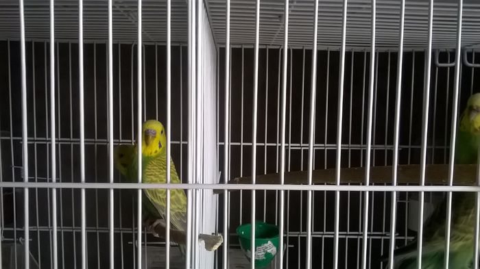 WP_20150125_11_19_42_Pro