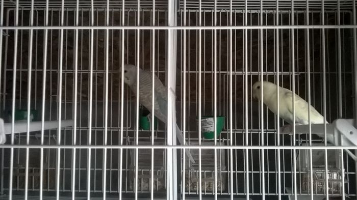 WP_20150125_11_19_47_Pro