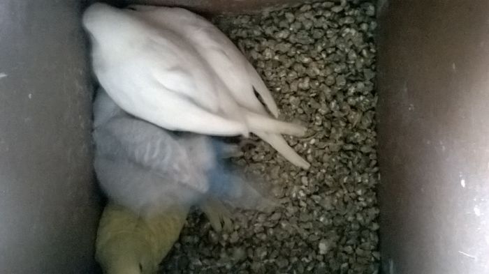 WP_20150131_15_18_16_Pro