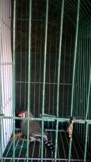 WP_20150131_15_21_58_Pro