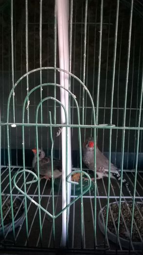 WP_20150131_15_22_05_Pro