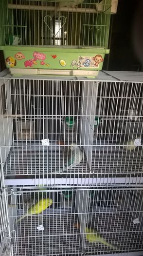 WP_20150131_15_26_26_Pro