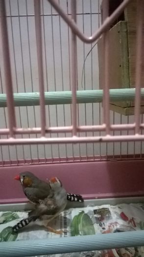 WP_20150206_19_27_14_Pro