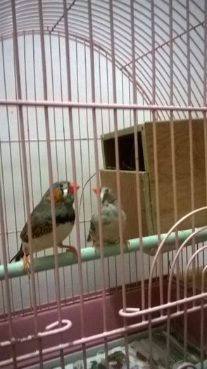 WP_20150206_19_27_39_Pro