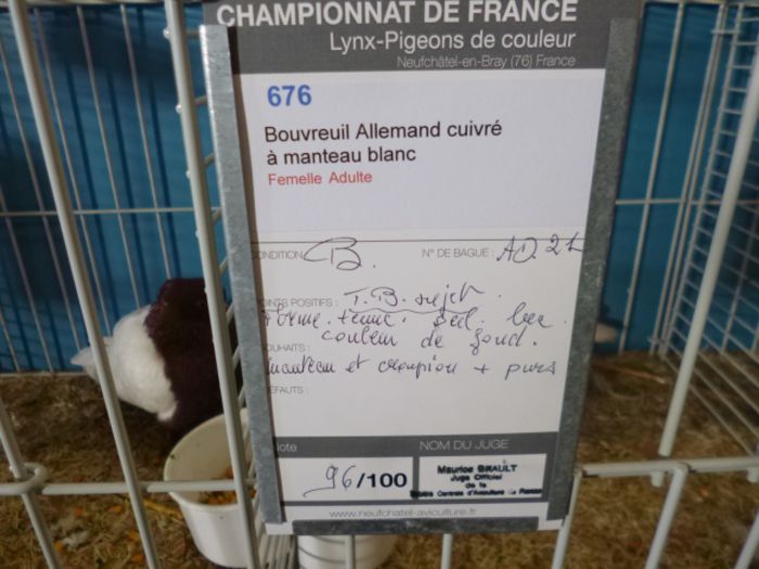  - Campionatul Frantei