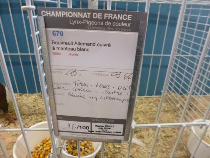  - Campionatul Frantei