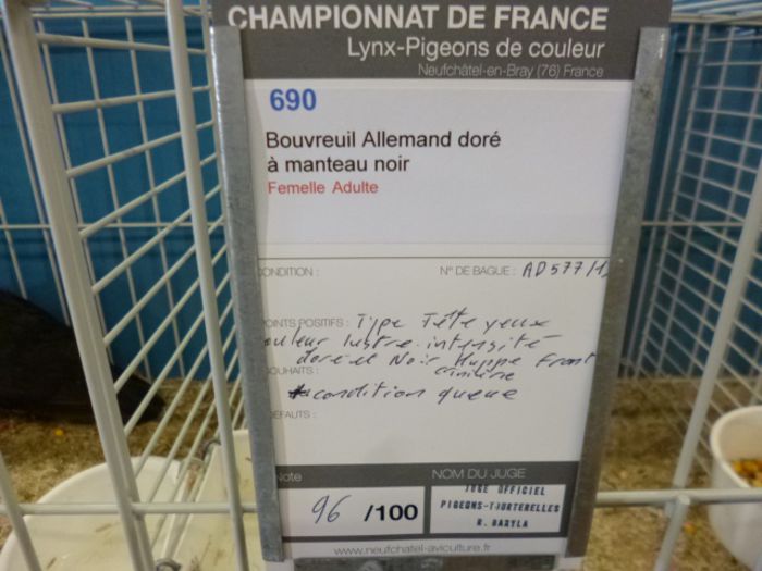  - Campionatul Frantei