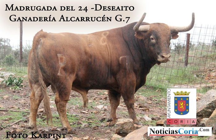 Deseaito%20alcurucen