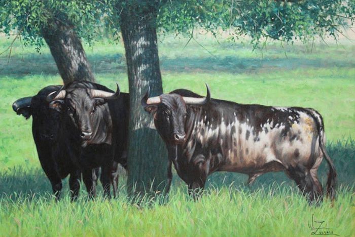 Paisajes  con toros lidia