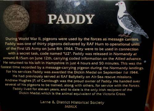paddy-plaque3 - PORUMBEI SOLDATI
