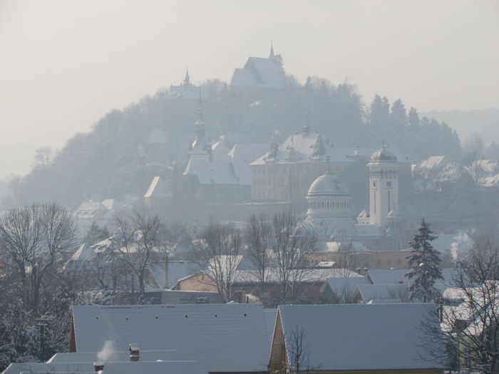 IMG_8456 - Contact-Sighisoara