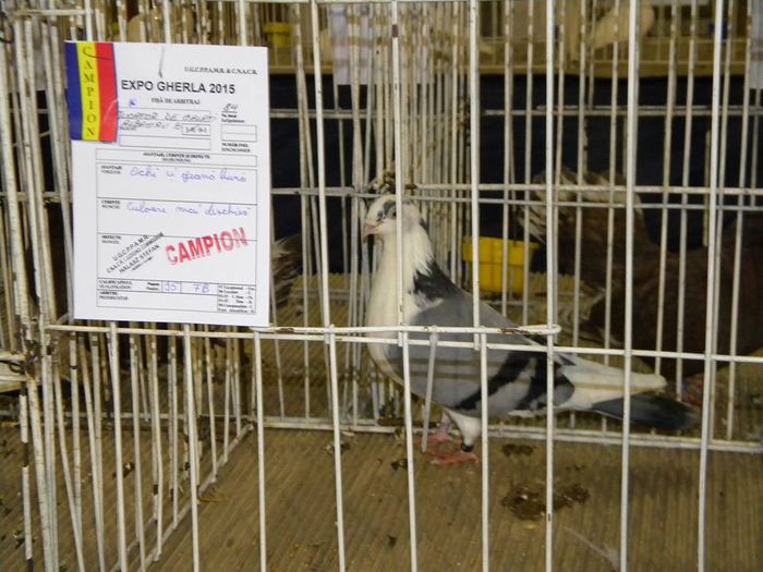 10173544_810547995649870_6099615714479458904_n