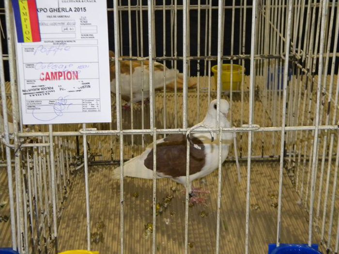 10404414_810548255649844_6888352700772693030_n