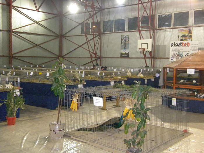 10404286_810550508982952_2110559022340032684_n - S- Expozitie Gherla 2015