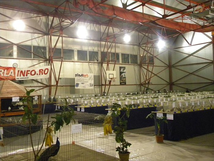 10653665_810550552316281_4783435609860511337_n - S- Expozitie Gherla 2015