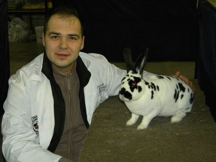 10599532_810550562316280_206658617273406548_n - S- Expozitie Gherla 2015