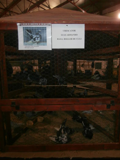 P2060001 - S- Expozitie Gherla 2015