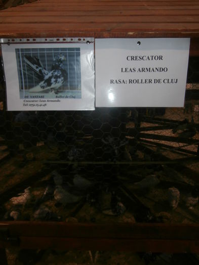 P2060003 - S- Expozitie Gherla 2015