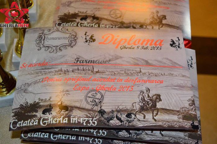 1977369_854176667972081_7846875763949762735_n - S- Expozitie Gherla 2015