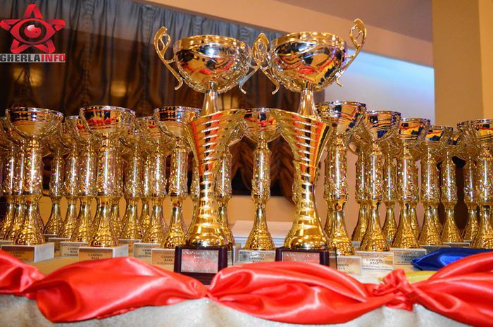 10959299_854176671305414_2950939724811965250_n - S- Expozitie Gherla 2015