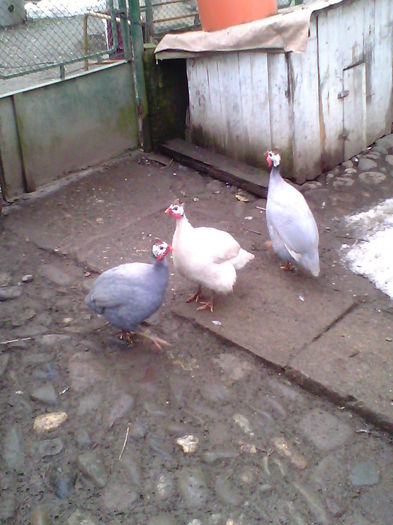 IMG_20150124_150841 másolata