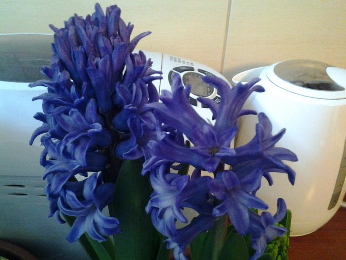 20150209_092844