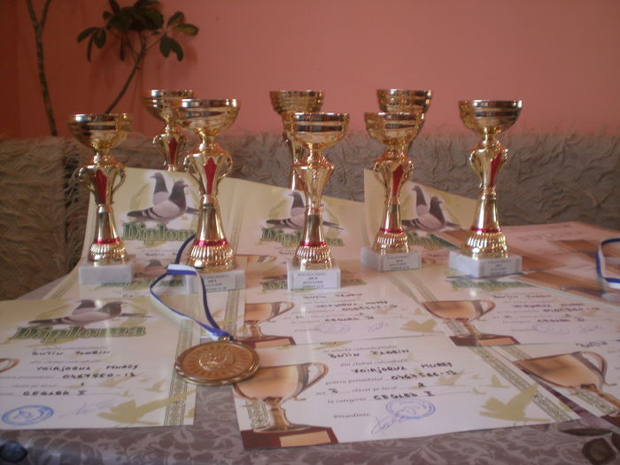 2014 - Premii
