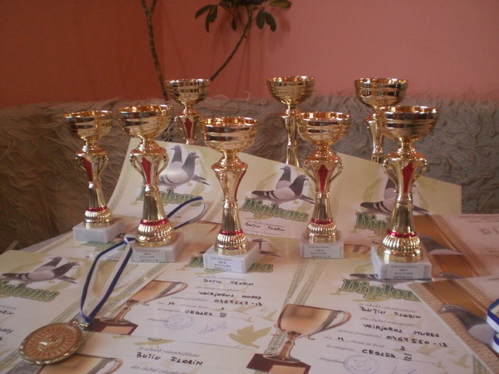 2014 - Premii