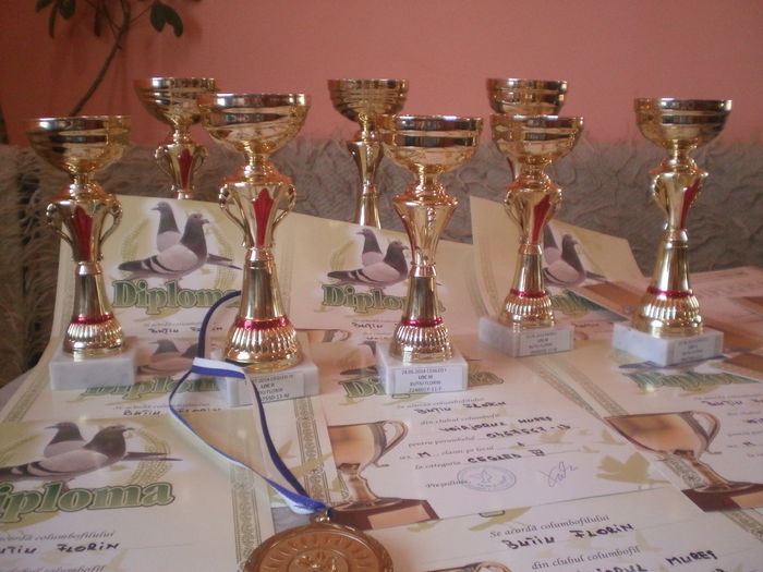 2014 - Premii