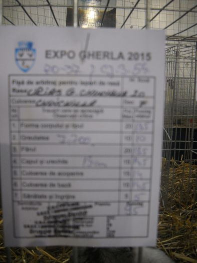 DSCN0339 - EXPO GHERLA 2015