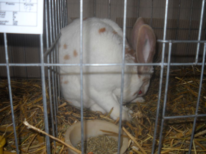 DSCN0397