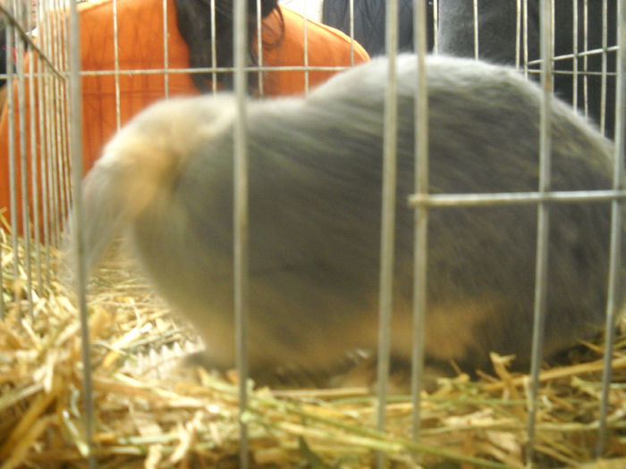 DSCN0437