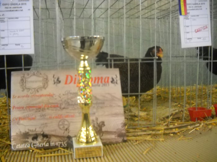 DSCN0262