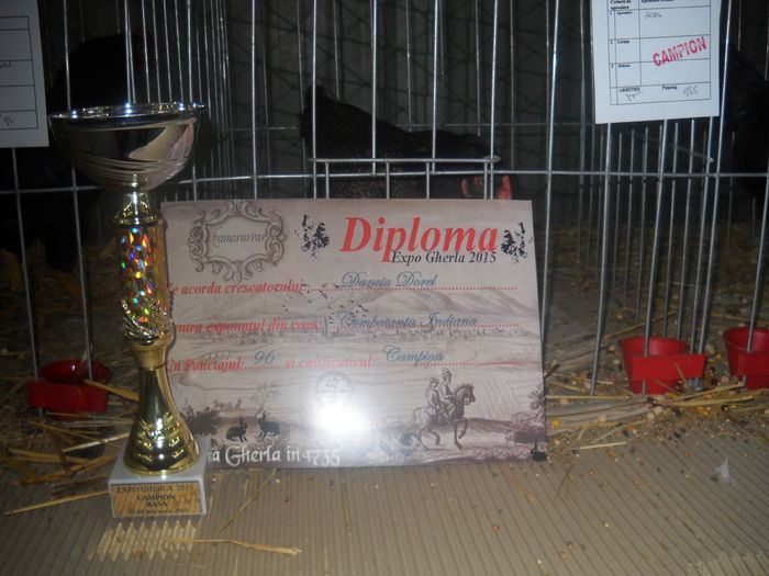 DSCN0268