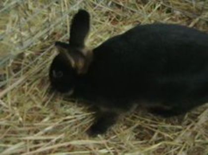 EXPO 2014 MARAMURES - EXPOZITII MARAMURES