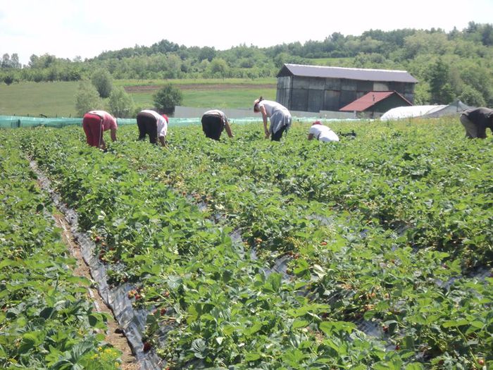 10338711_677151305654250_8396617479300846436_n