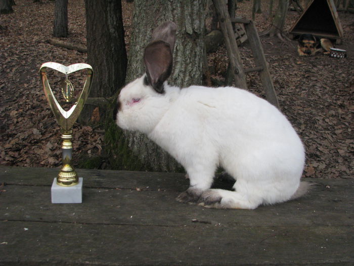 CAMPION NATIONAL SUCEAVA 2014