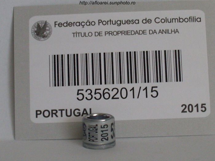 portugal 2015 - PORTUGALIA-PORTUGAL