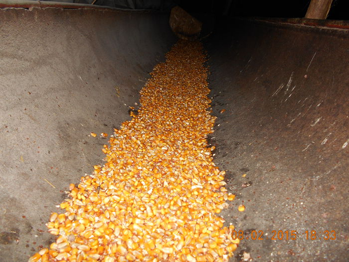 DSCN0809 - Mielute 2014-2015