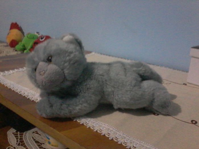 pisicuta gri - 5 lei - DIVERSE DE VANZARE